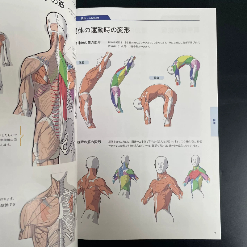 Basic Textbook of Art Anatomy  - огляд і ціна Photography Book