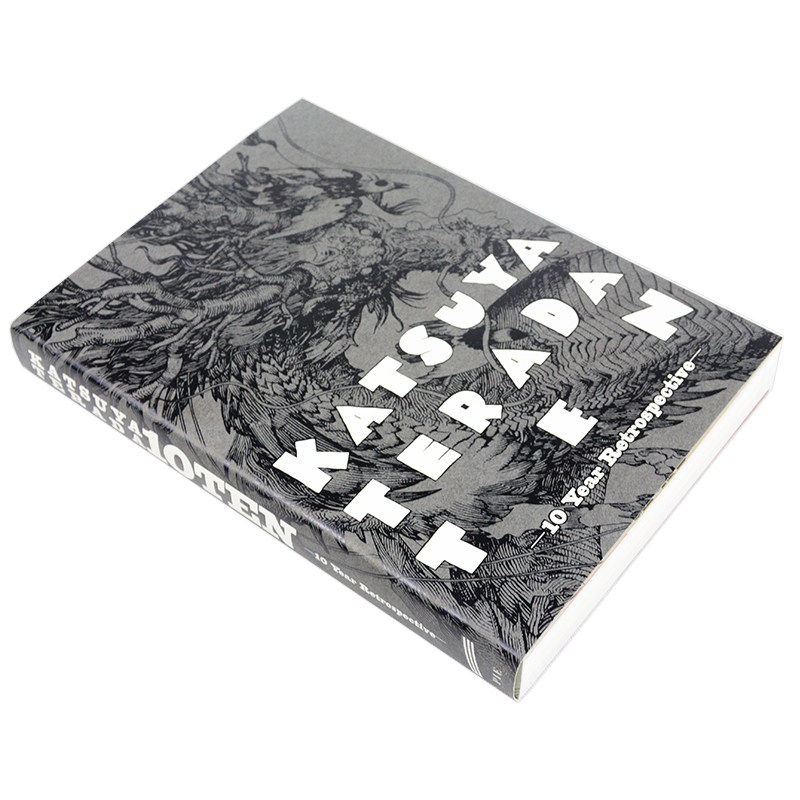 Katsuya Terada 10 Ten 10 Year  - огляд і ціна Photography Book